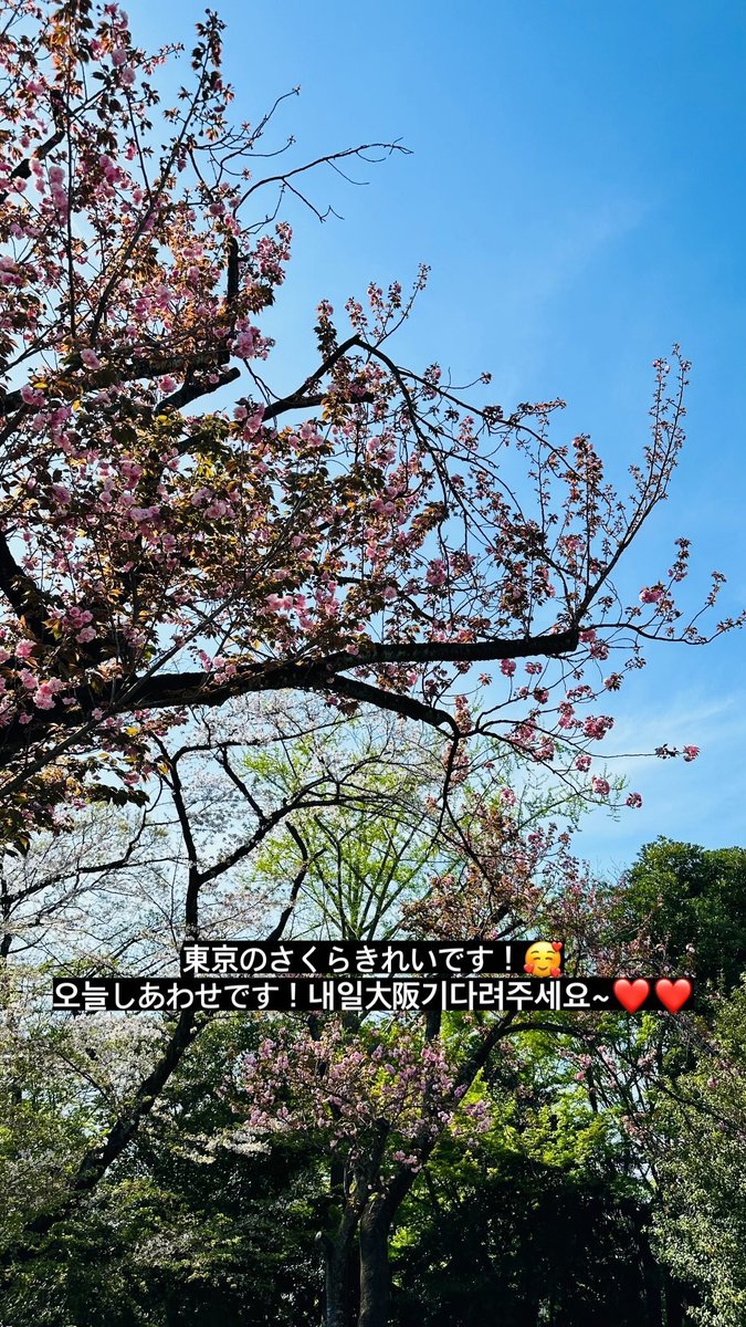 240413 zuuuuu_oh Instagram story #SF9 #ZUHO #에스에프나인 #주호