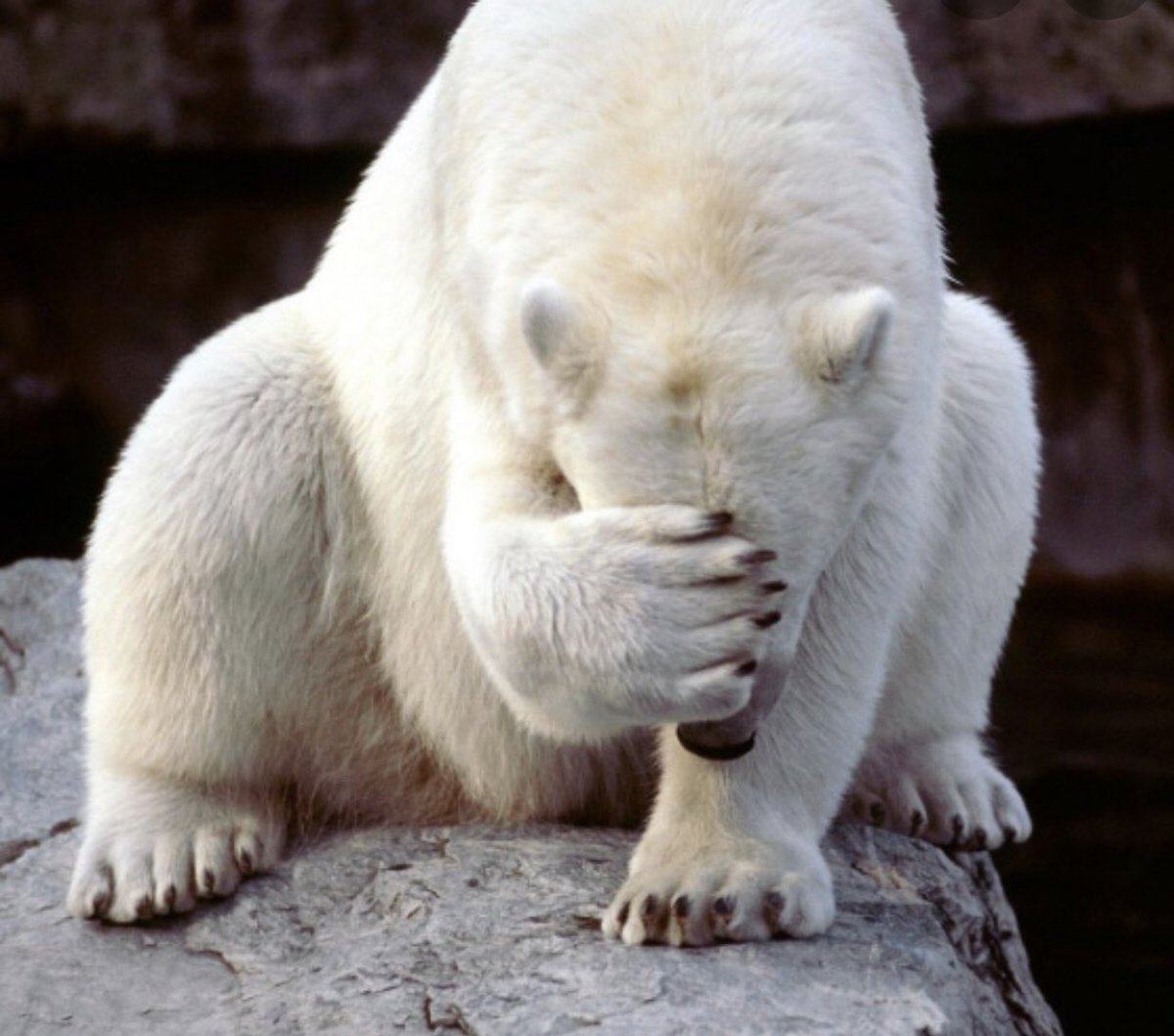 Gary Kevorkian tweet media