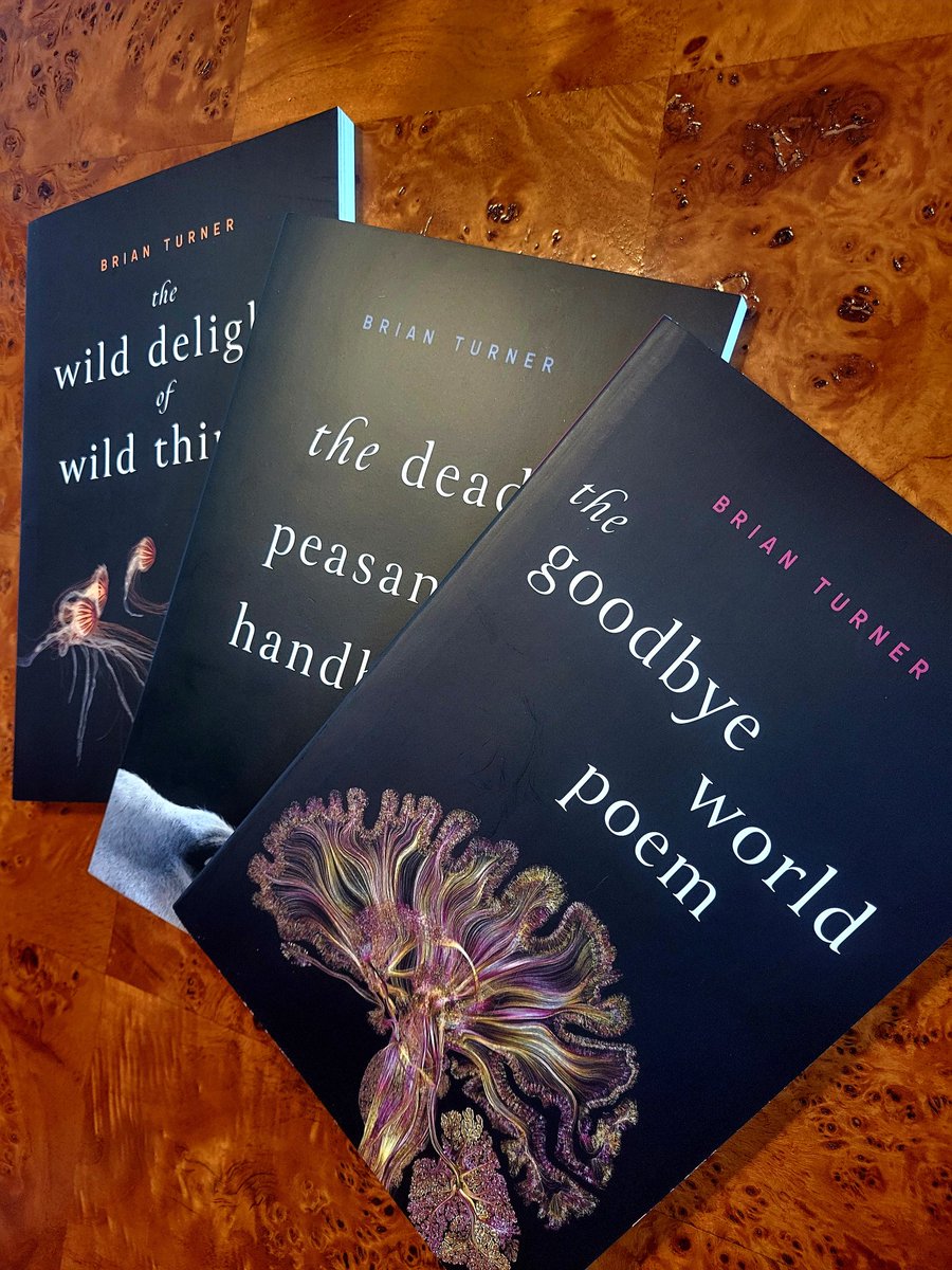 I have been on a journey. The path has been tender, beautiful, heartbreaking, and life-affirming. Mr. Turner wrote not 1 but 3 amazing books and recorded awesome albums to accompany them. It's been an amazing journey.  @turners_lens <a href="/AliceJamesBooks/">Alice James Books</a>