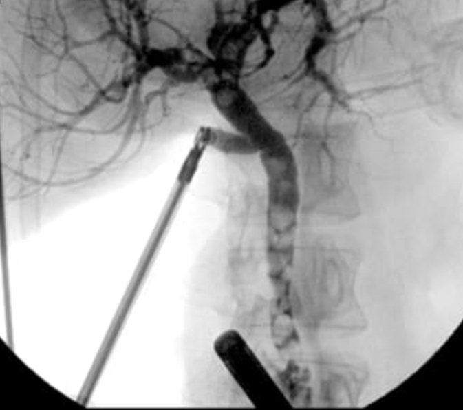 Turki AlAmri |تُرْكي عبدالله الْعَمريَّ MD tweet media