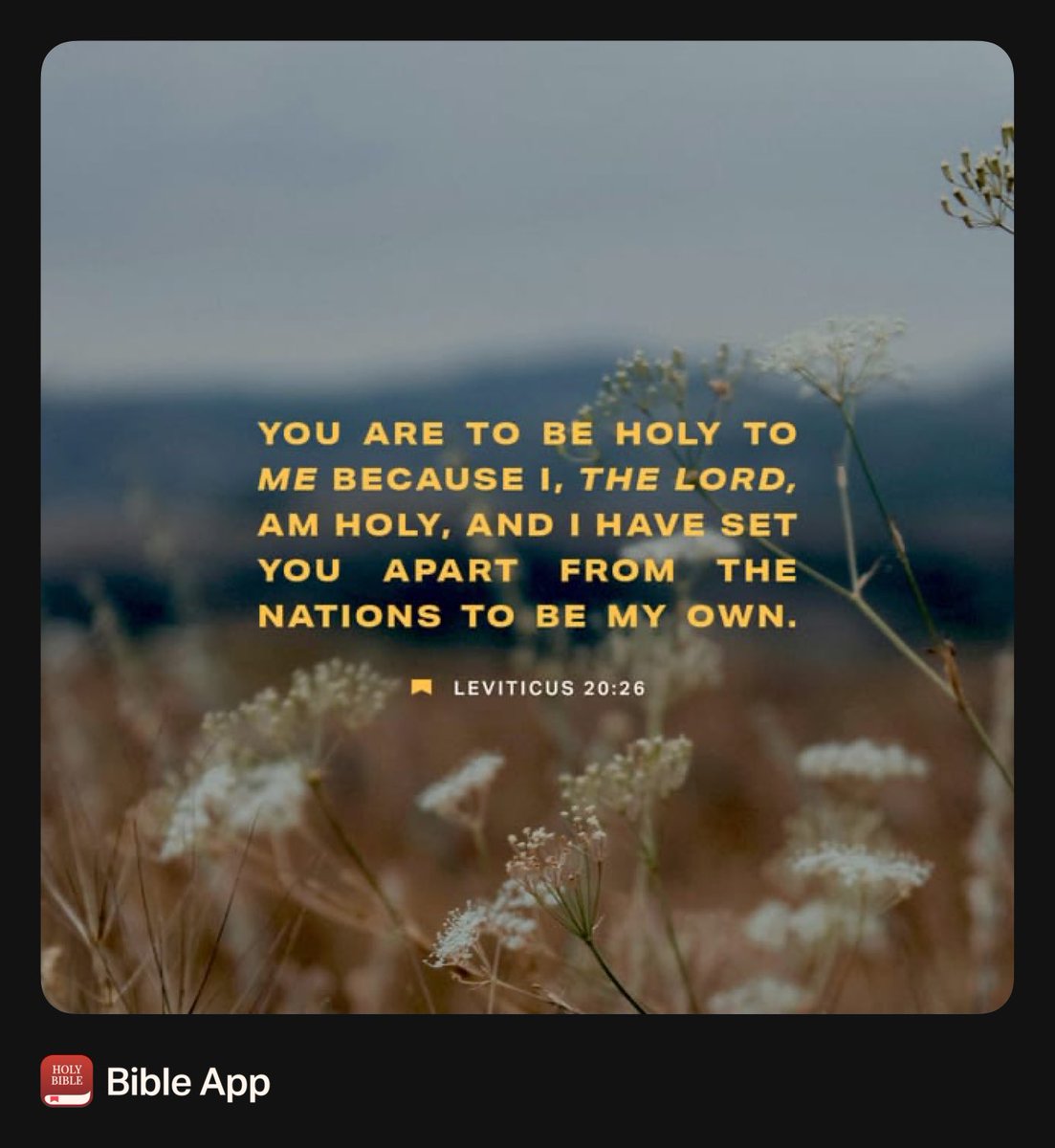 Michele Sells (@michele4888) on Twitter photo 