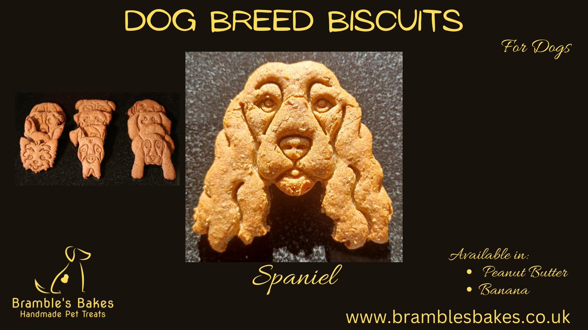 Brambles_Bakes's tweet photo. A delicious dog biscuit for your Spaniel, available in Peanut Butter or Banana. Sold as a pair or in a tin of 6. Visit https://t.co/Pwox8i7Dyg to order yours today! Lots of breeds available. If you don’t see what you are looking for, get in touch and we will see what we can do. https://t.co/98U7fdqcrE