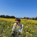 Photo by cyan 光点 (@dkztimes)