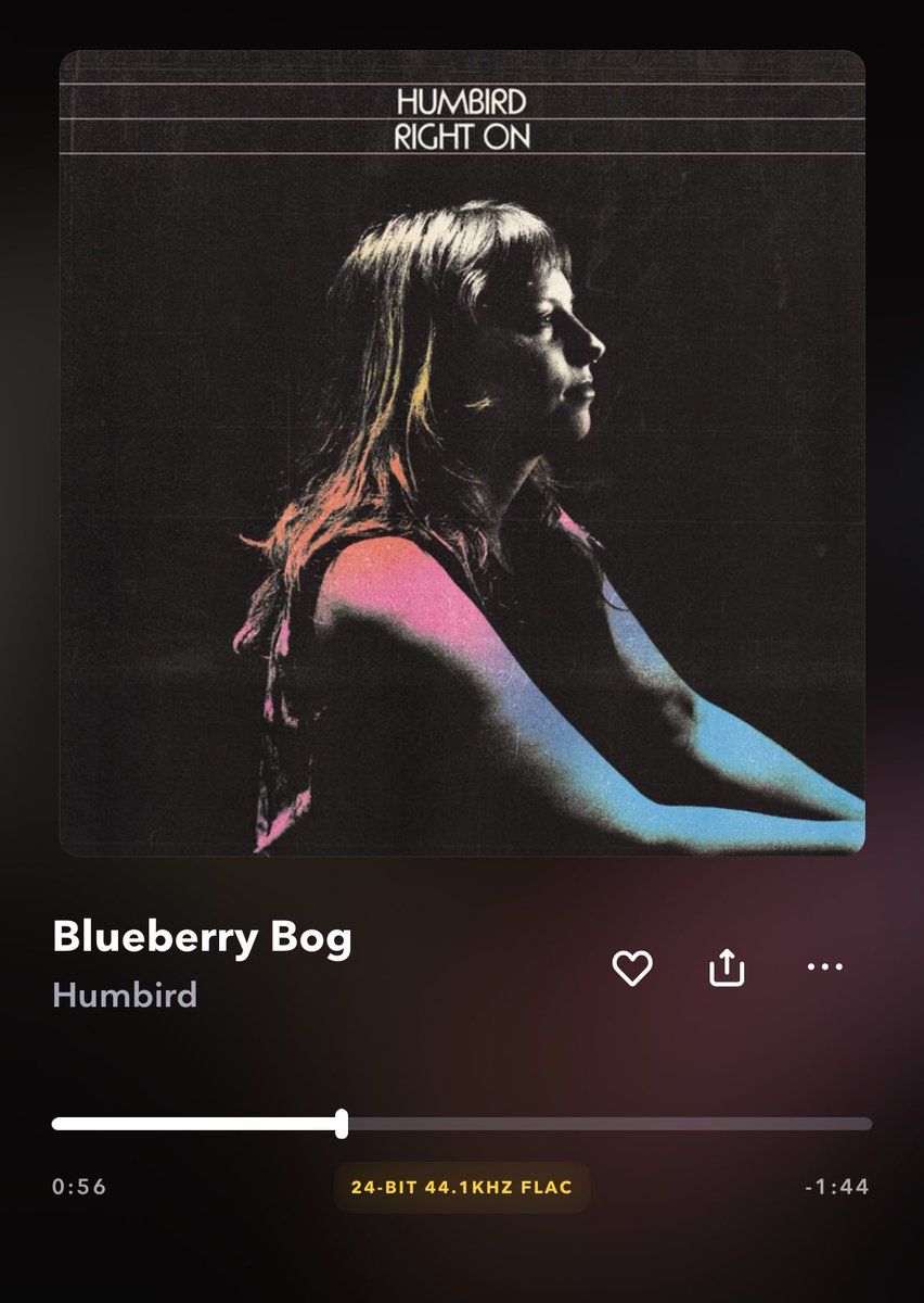 The new @Humbirdhumbird album out yesterday is fantastic. RIYL Kacey Musgraves, Jenny Lewis, etc.
