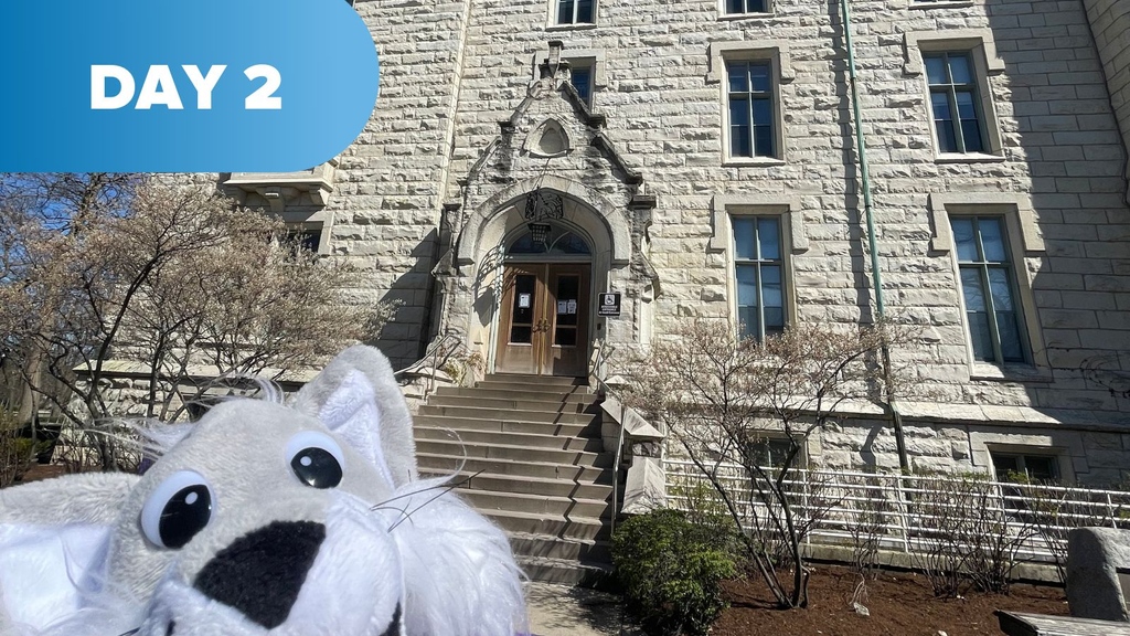 Did you hear the news??? #udnc42 day two has STARTED! Willy the Wildcat is eagerly checking out the Northwestern campus and is cheering on our fierce debaters for rounds today!