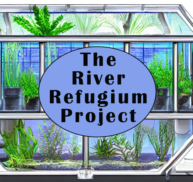 The River Refugium Project cernunnosfoundation.com/dead-zone/the-… #aquaponics #ecology #aquarium #permaculture #fishery #entreprenuer