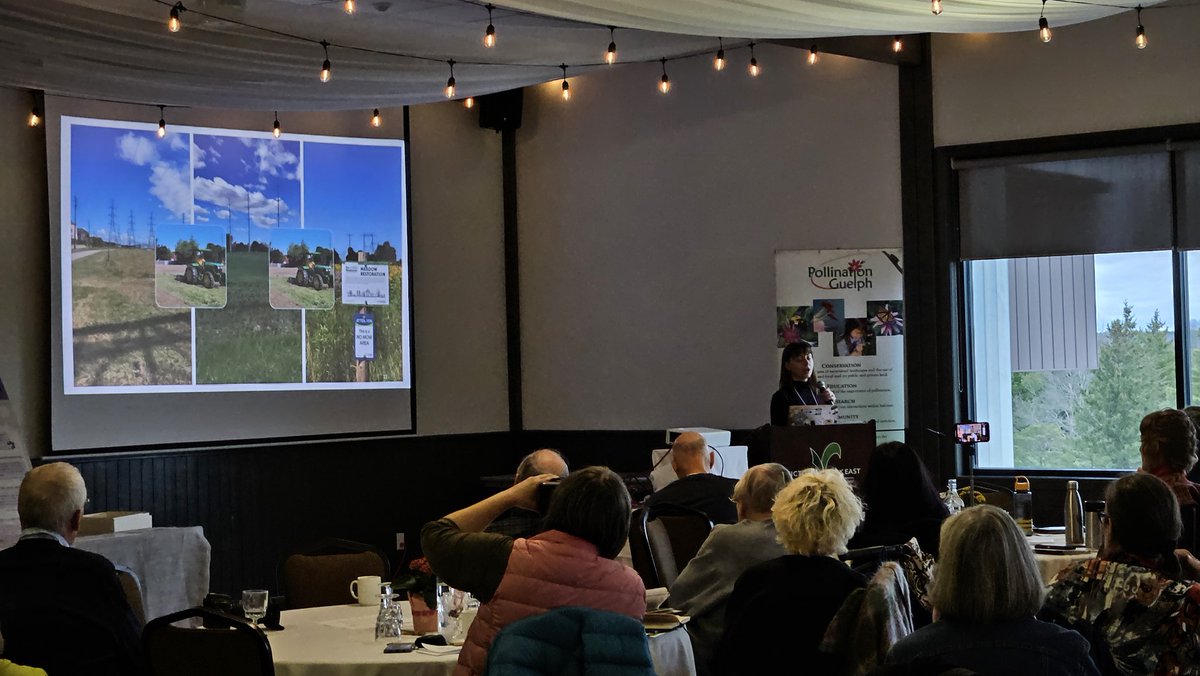 PollinateGuelph's tweet photo. Sisley Irwin speaks about creating urban meadows such as the Meadowway in Toronto, and effects on pollinators at our #PGEvents. Local site features (plantings) more important than larger landscapes, more bees attracted overtime as they establish. https://t.co/bl3DEncLfW