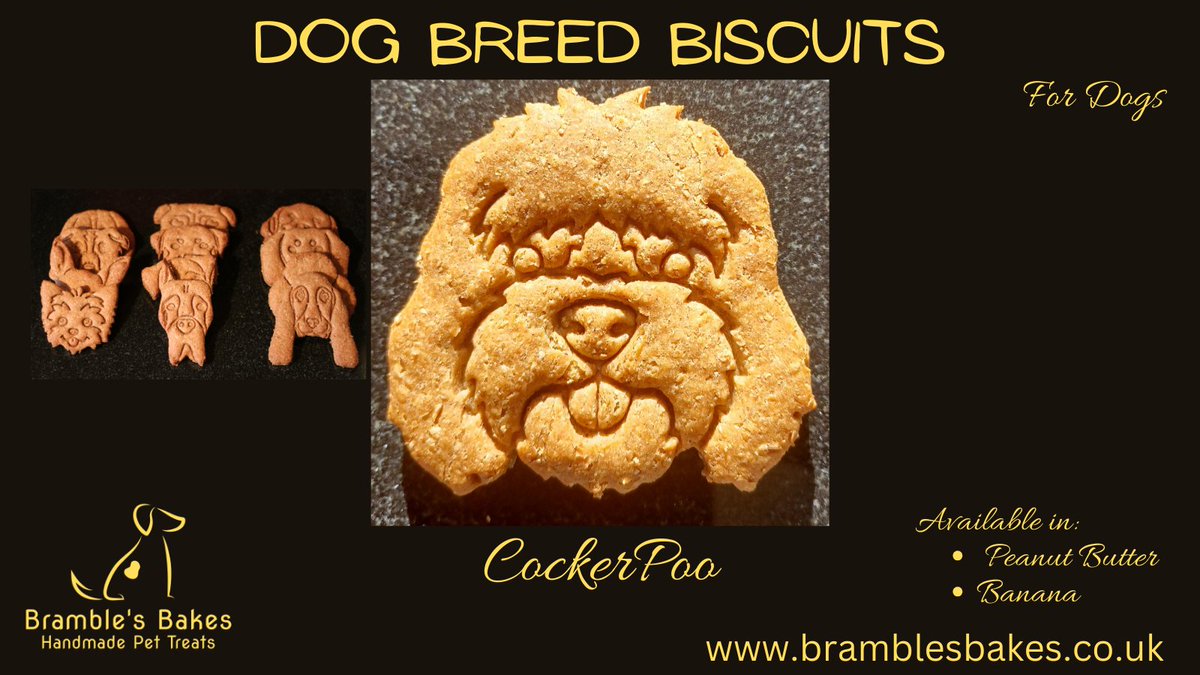 Brambles_Bakes's tweet photo. A delicious dog biscuit for your CockerPoo, available in Peanut Butter or Banana. Sold as a pair or in a tin of 6. Visit https://t.co/Pwox8i8bnO to order yours today! Lots of breeds available. If you don’t see what you are looking for, get in touch and we will see what we can do. https://t.co/IzD9uIeESp