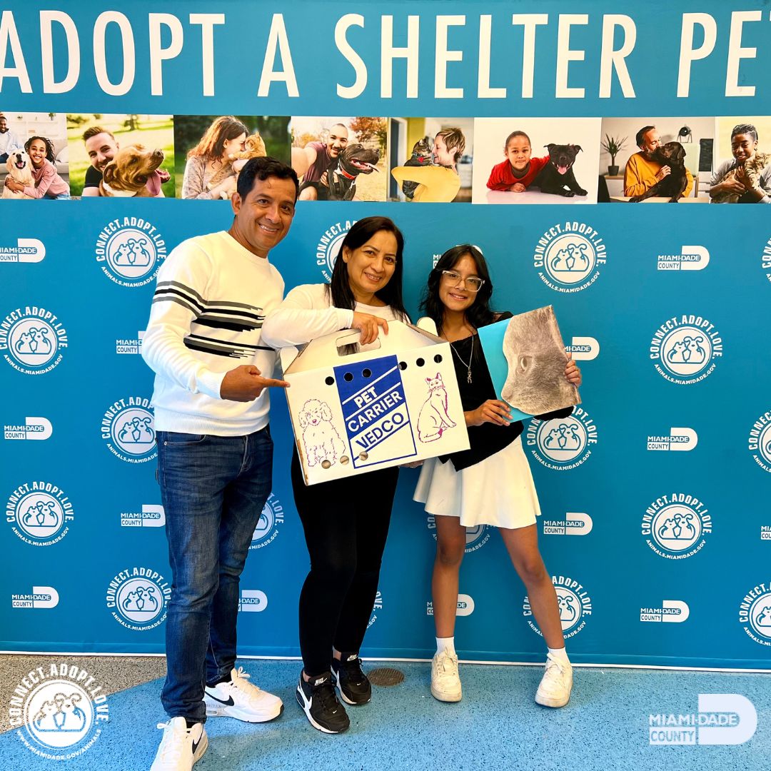 What a wonderful week it's been! Our furry friends have been adopted and are now enjoying their happily ever after! A heartfelt thank you to our compassionate pet parents – you're simply amazing! Find out how you can make a difference through adoption, click the link in bio!