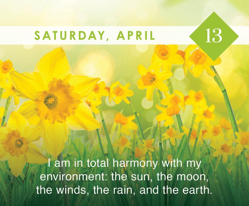 Affirm: 'I am in total harmony with my environment: the sun, the moon, the winds, the rain, and the earth.'