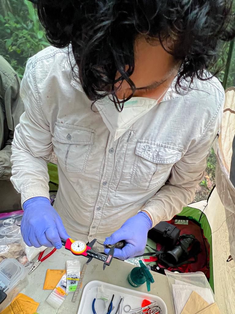 Field Projects tweet media