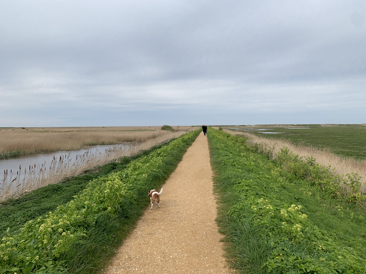 'Dogs to be under close control at all times on reserve footpaths,' asks @NorfolkWT to protect wildlife. The dog walker striding out at Cley Marshes had no idea what her two dogs were doing. When she did turn around, she watched one dog crap on the verge, and walked on. 1/2