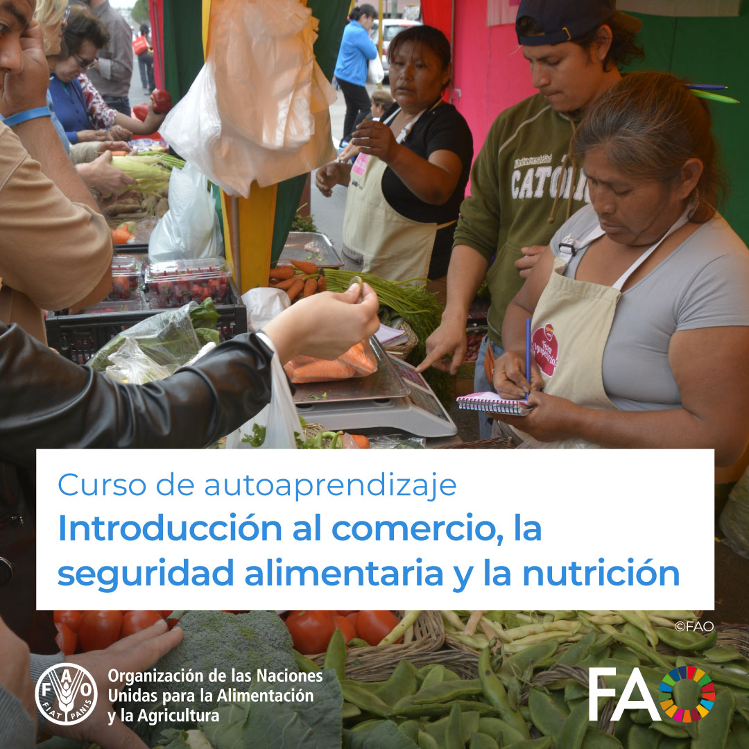 🎓 Curso gratuito en @FAOCampus 💸Introducción al comercio, la seguridad alimentaria y la nutrición Para garantizar que la expansión del comercio agrícola favorezca la erradicación del hambre y la adopción de dietas saludables ¡Matricúlate! ➡️ ow.ly/4jBU50QmjJt @FAO