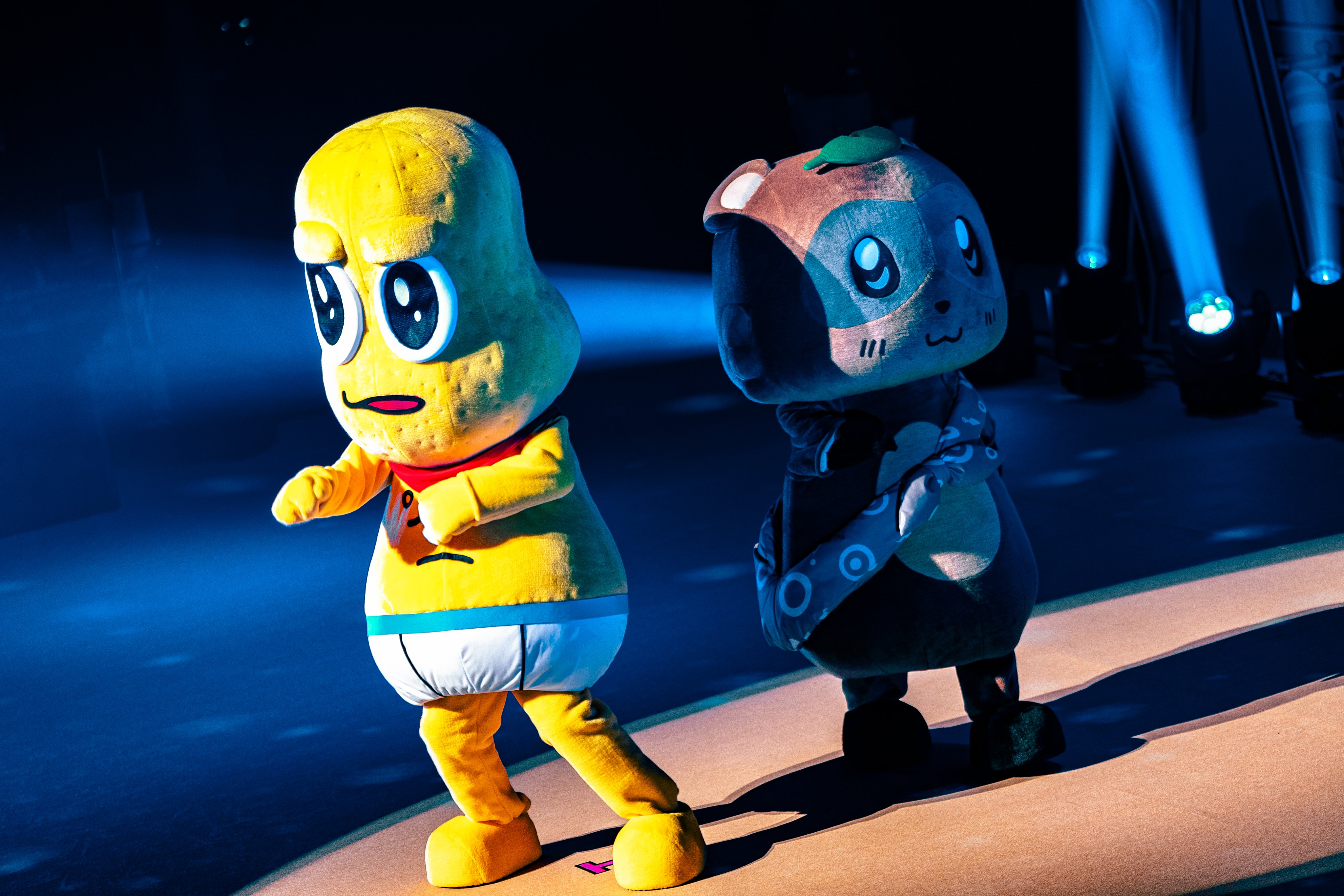 甲賀流忍者ぽんぽこ🍃たぬき！ on X: 