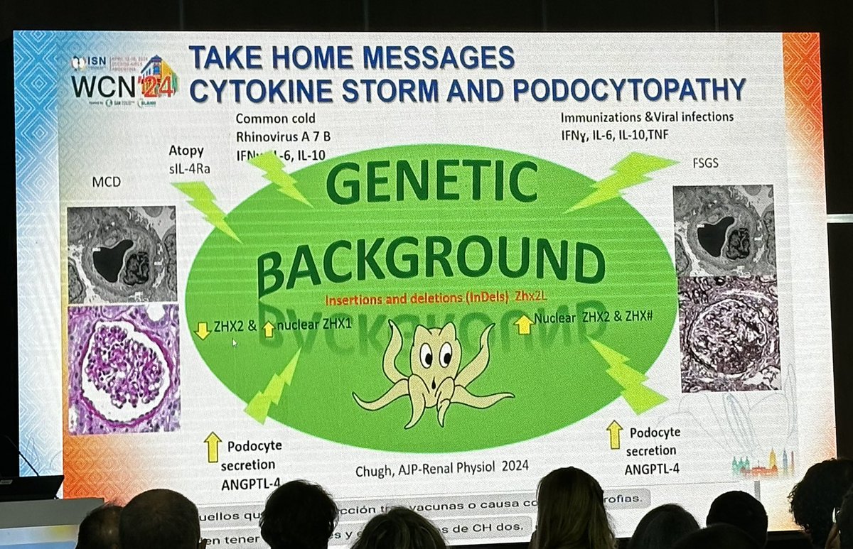 📍Podocythopaties by @kidneypathology 

📌 cytokine storm
📌 association with infections, immunization and atopy
📌 ANGPTL-4 could be used as a biomarker 

#ISNWCN #ThisIsISN