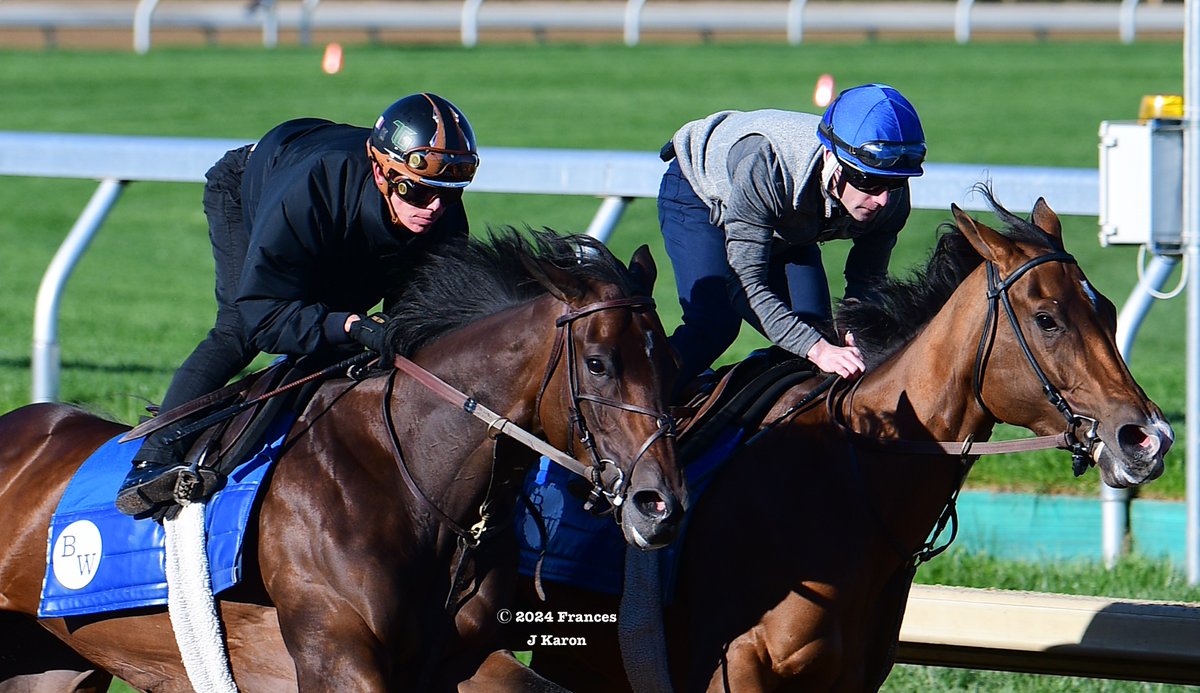Champion Pretty Mischievous (@decky_cann up) and Maxfield's little sister Loved (@Tyler_Gaff) working at Keeneland this morning for Brendan Walsh. A lightly raced Medaglia d'Oro 5yo, Loved is entered in the G3 Doubledogdare on Friday.