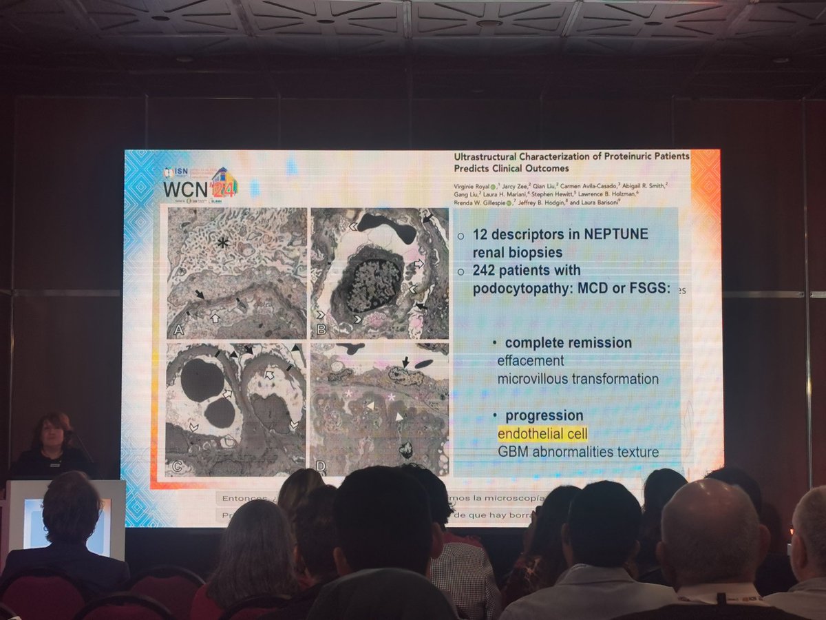 Podocytopathies by Carmen Avila Casado

Electron microscopy plays a crucial role not only in the diagnosis of podocytopathy but also in providing prognostic information through the detection of certain ultrastructural changes.

#ISNWCN