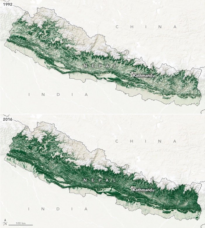 💡Pari réussi pour le Nepal🇳🇵 qui est parvenu à régénérer ses forêts 🌳en 25 ans. Selon la NASA, le couvert forestier 🇳🇵est passé de 26% à 45% de la surface totale. Un succès grâce à la mise en place d'une gestion communautaire des forêts pour accompagner la régénération…