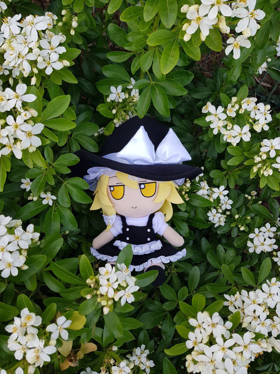 LimuleTumpest's tweet image. Lost in Paradise