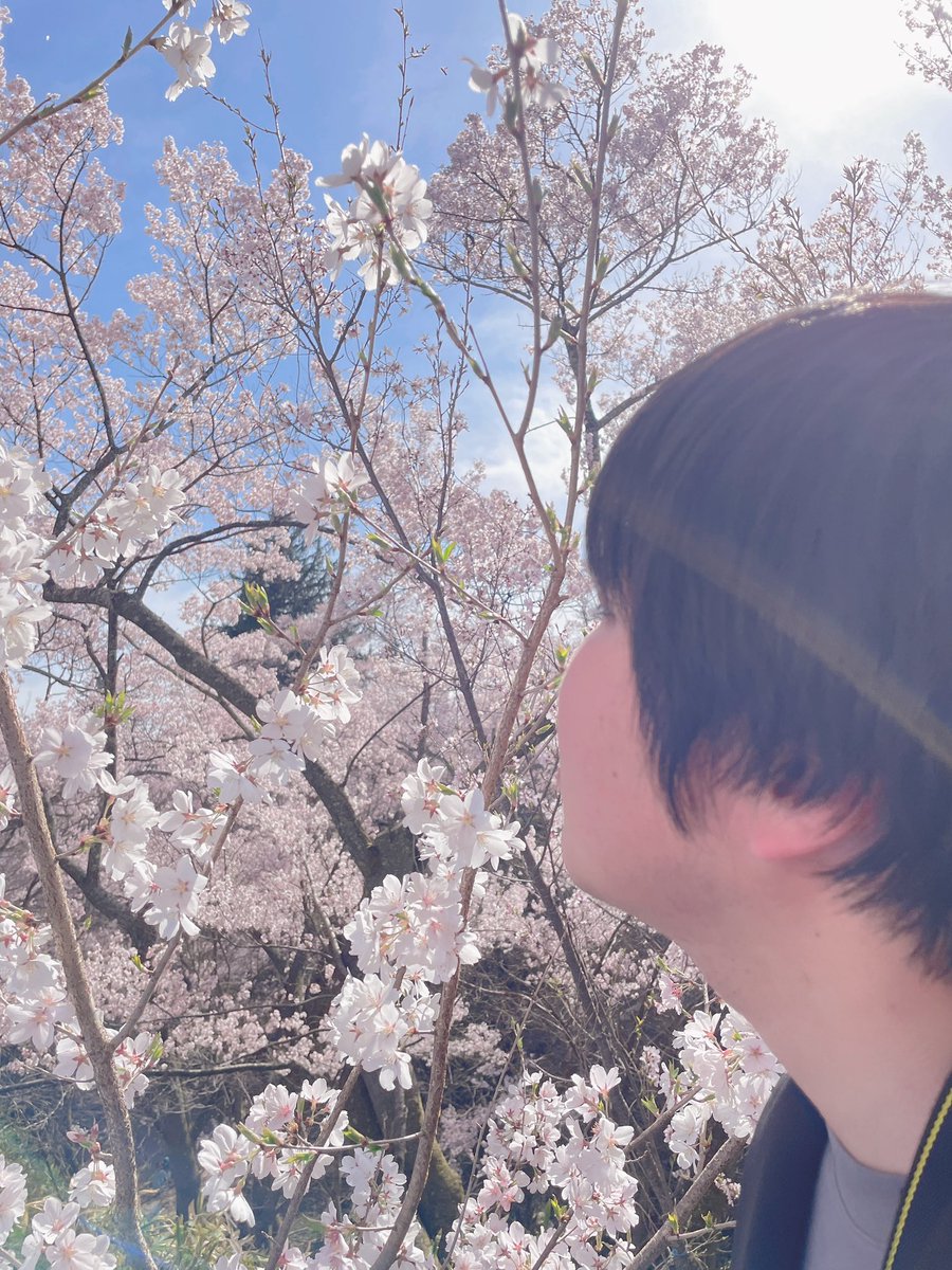 mina20010609's tweet photo. 高遠の桜綺麗だった🌸 https://t.co/vEGMqlWlDF