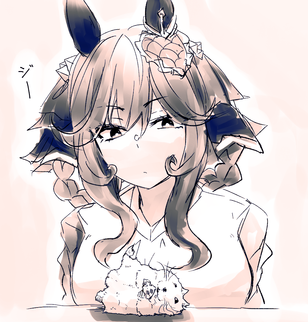 ハムとドンナ