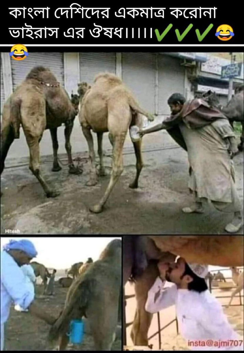 There are various ways of drinking camel urine. You can have it from a can, a bottle, in a glass freshly filled, or directly by applying your mouth to the spout. I suppose the purity is graded in ascending order. 🤣