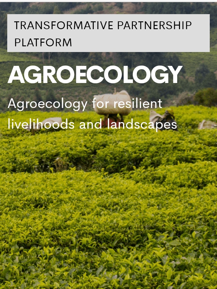 The Transformative Partnership Platform (TPP) on #agroecology bridges knowledge gaps and drives agroecological transitions. It offers evidence for advocacy and informs policymakers on the successful implementation of agroecological approaches.

🔗: cifor-icraf.org/agroecology/

#aeTPP