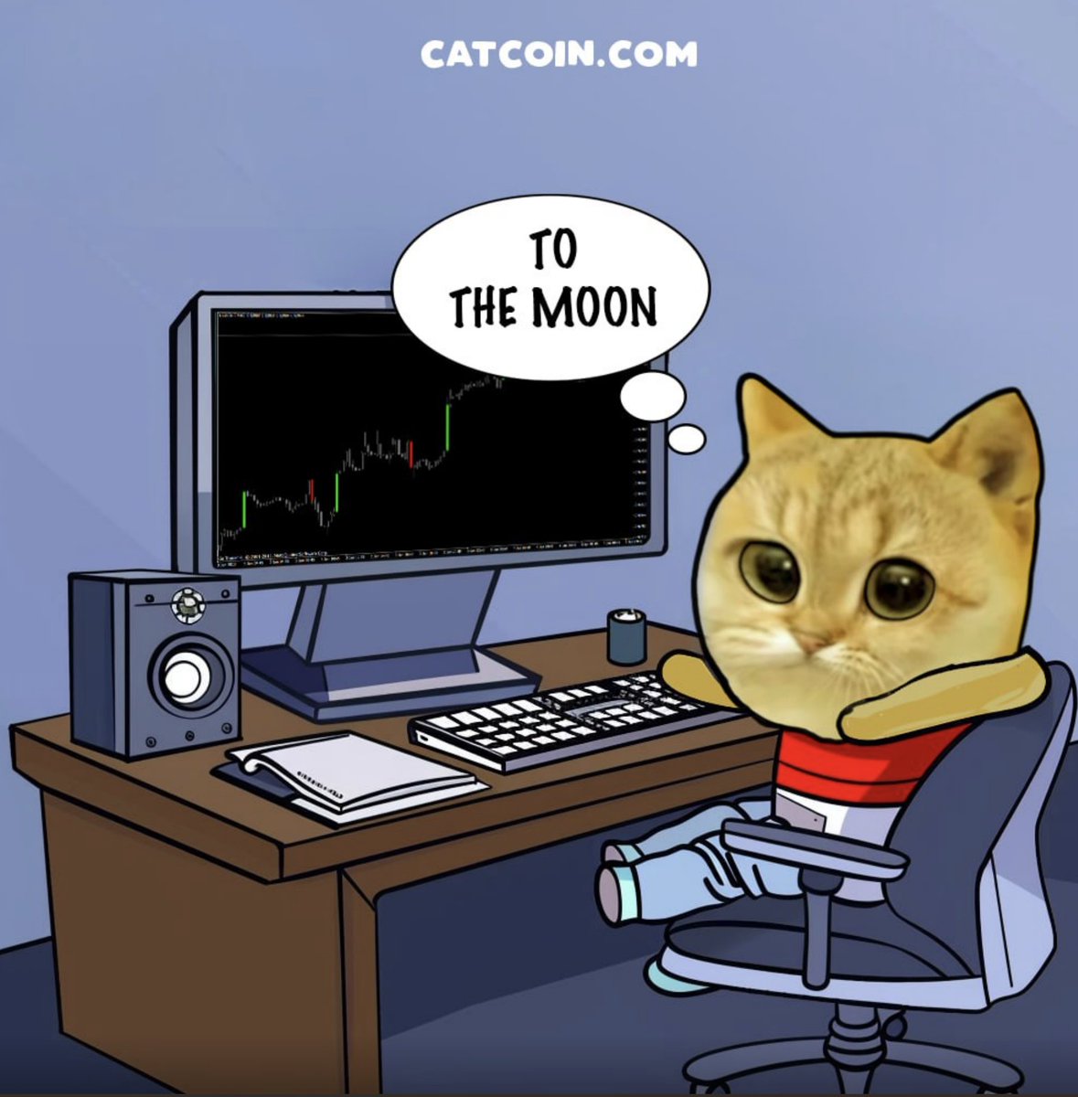 CatCoin tweet media