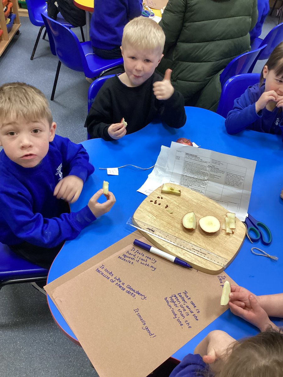 The theme for Science Week this year was 'Time'.  We explored changes to our ducklings over time, changes in the seasons and to apple cores over 4 wks.  We discovered that not all apples taste the same, have the same no. of seeds or decay in the same way! 🐣🦆🌷☀️🍂☃️🍎🍏