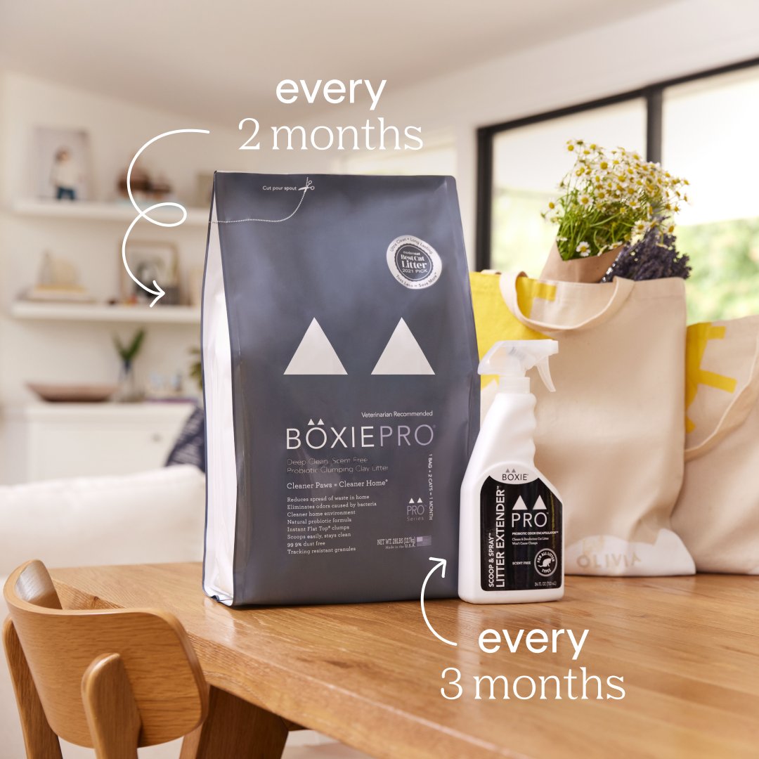 🗓️ Sign up for Subscribe & Save (link in bio) to have a fresh bag of Boxie litter arrive at your doorstop every month!⁠
.⁠
.⁠
#boxie #boxiecat #boxiepro #cat #catlitter #kitten #kitty⁠
