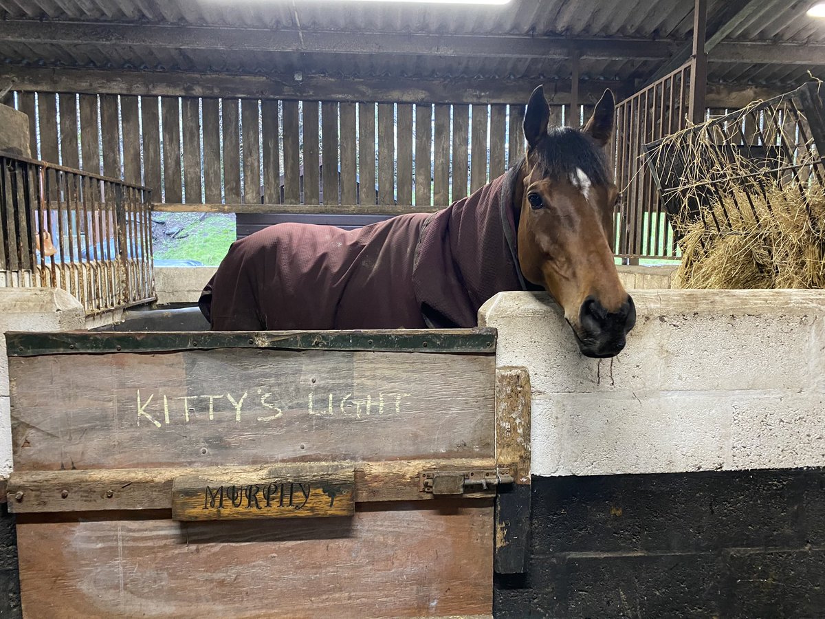 Absolutely delighted for the family of Ogmore trainer Christian Williams after Kitty’s Light finishes 5th at the Grand National on @itvracing. What a beautiful horse and a lovely family, I’m so happy to know he’ll be coming home safe 🐎