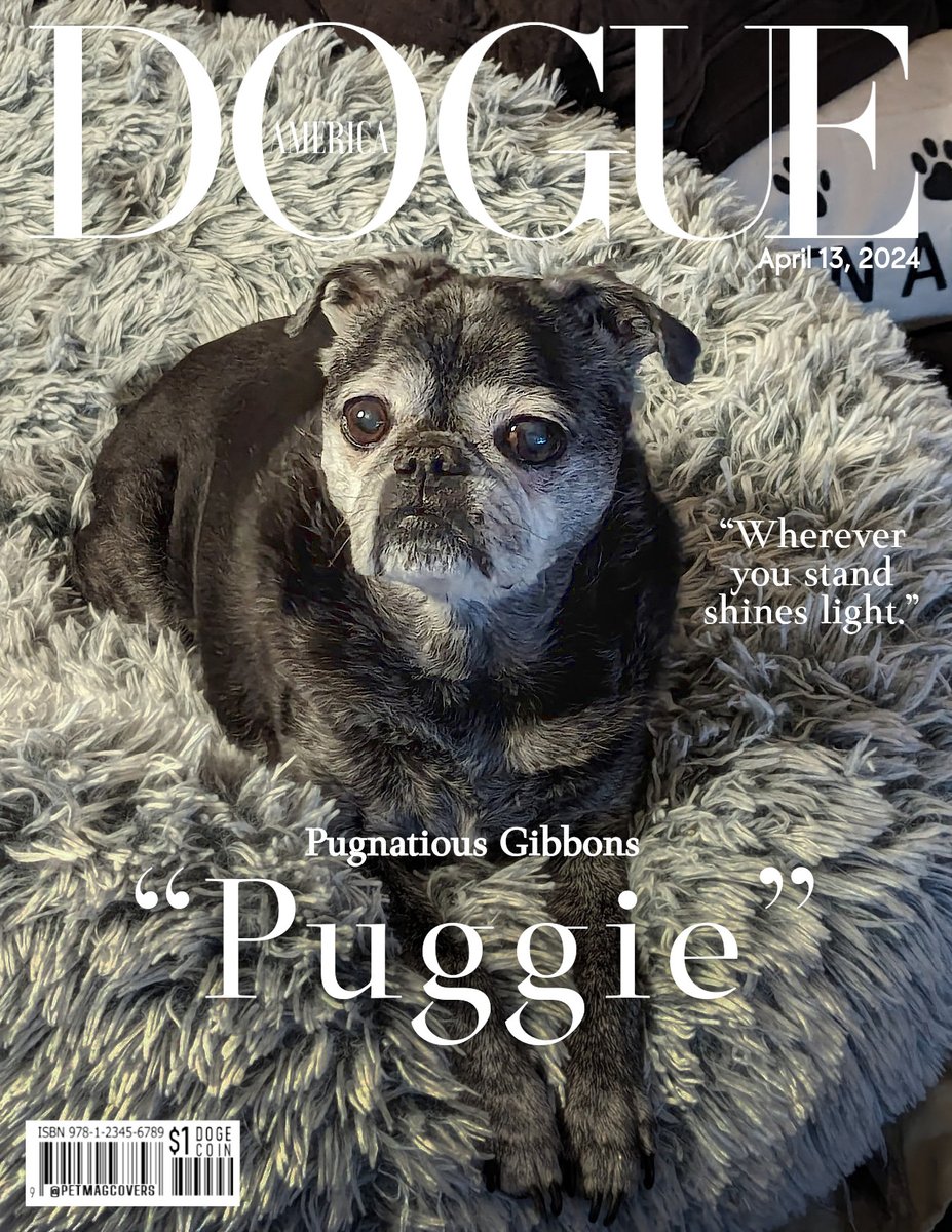 In loving Memory of 'Puggie'  @PugnatiousG

#DOGUE #Magazine #Cover #OTRB #Tribute #DOGS