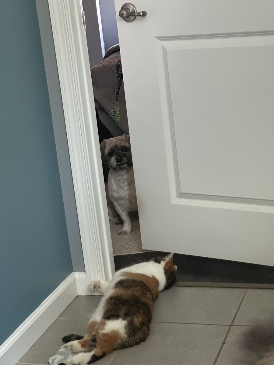 FutureMrsMartin2.0 tweet media