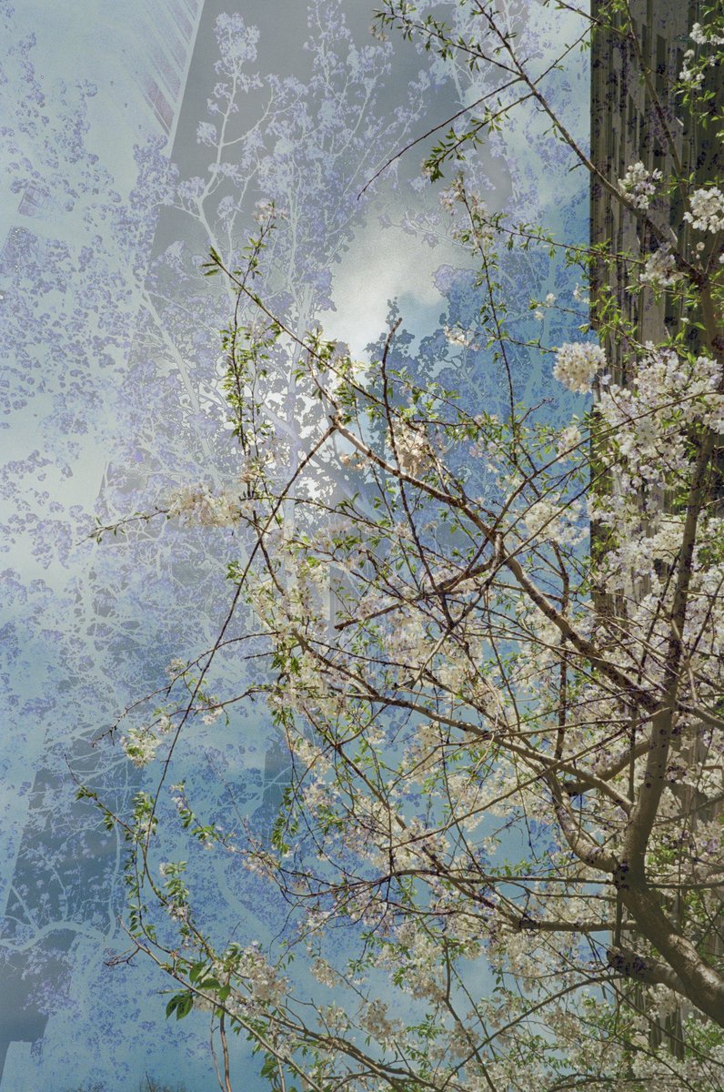 violetobjects's tweet photo. Gm ~ texture study 🌸 https://t.co/TCMVyCcXS2