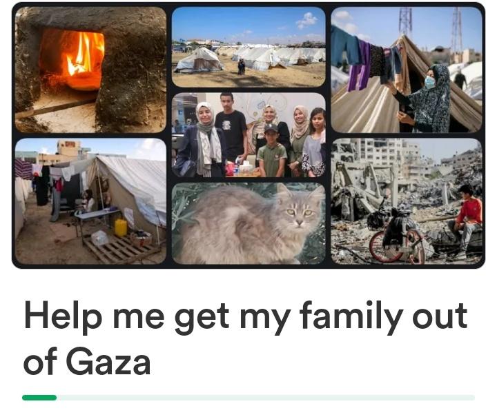 While I can't get access to safe place, clean water and healthy food, World is allowing to drop terrifying rockets & bombs above my head everyday!! THIS IS UNFAIR💔. I want to be in safe ASAP. Donate🙏 GFM: gofund.me/d83dfc56 (evacuation) Kofi: ko-fi.com/itslayla (Food)