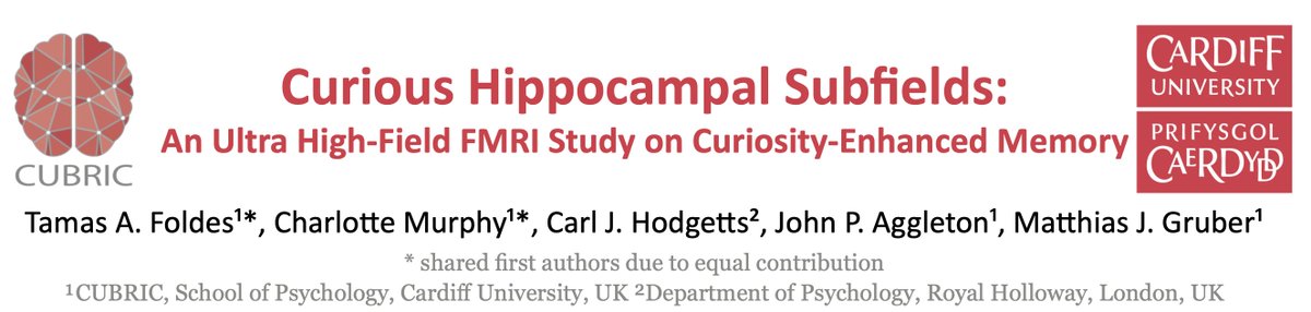 Are you at #CNS2024 and curious about hippocampal subfields and how they support curiosity and memory? Drop by @foldesandrei's poster E45 on Monday 15th April 2.30 - 4.30pm. @CUBRICcardiff @DrCharl_Murphy @CJHodgetts