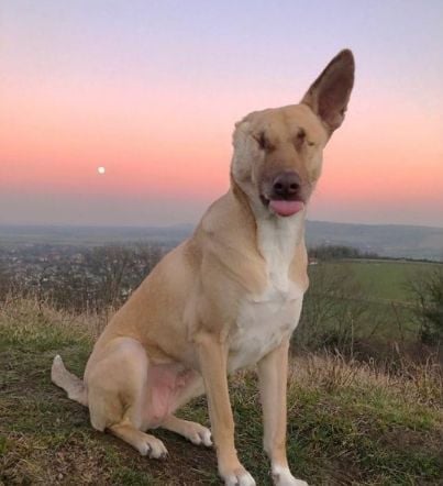 I bet all of our fans will LOVE you!💗