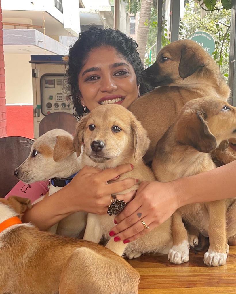 1000+ adoptions done via south bangalore cares in a year 🤍 Yaaay! #SouthBengaluruCares #AdoptDontShop 🌸