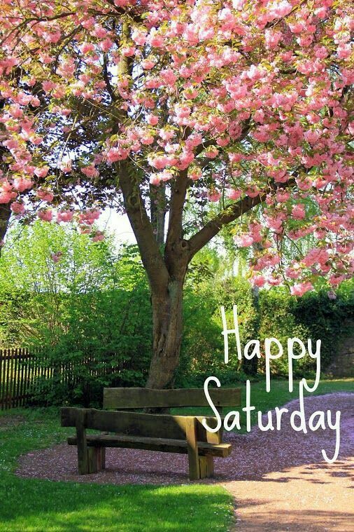Happy Saturday! Surround yourself with people that make your heart smile! 🌞 #happysaturday #saturday #treeblossoms #peoplemakeyourheartsmile #positivelysunshine