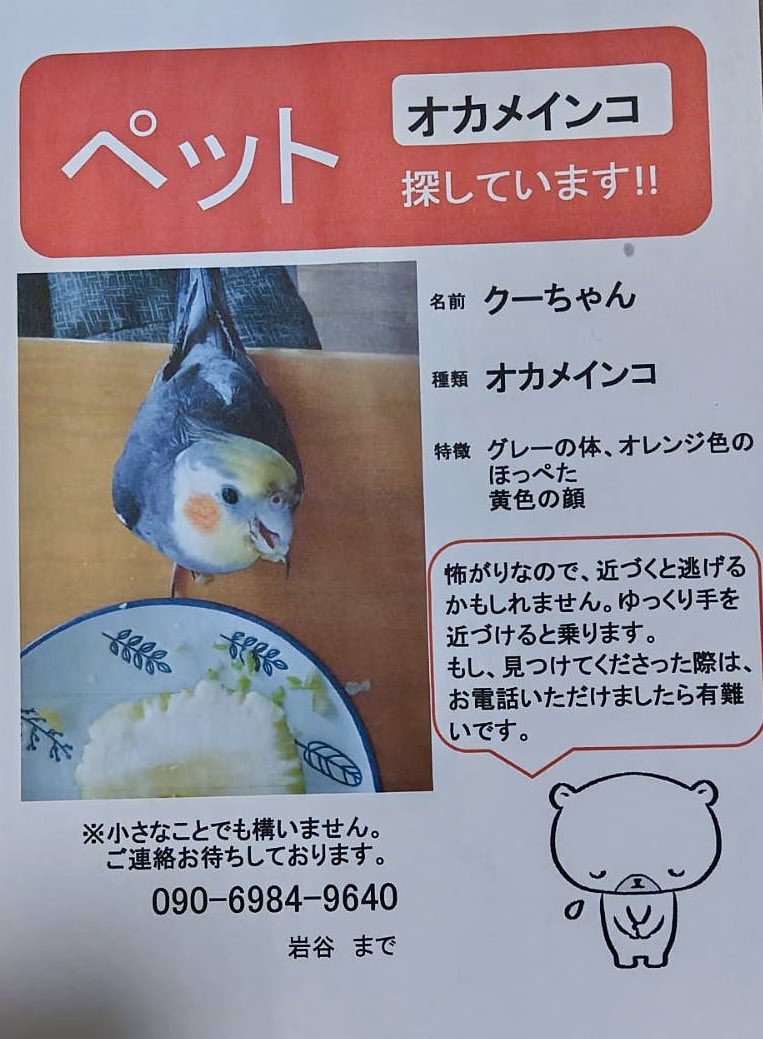 WaonGH_Inzai's tweet photo. チラシができたようです
ぜひ拡散をお願いします！

#迷い鳥 
#オカメインコ https://t.co/udo0MR02zg