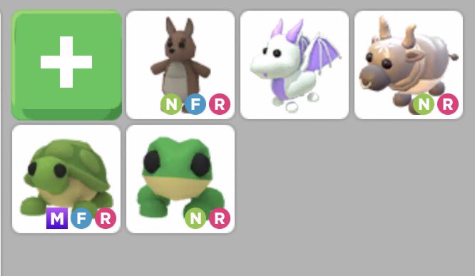 selling adopt me pets! 🎀

• for gcash/paypal/remitly
• dm/reply to get

#roblox #adoptmetrades #robux  #adoptmetrading amp high tier pet lf admp neon mfr nfr mega owl ssbd tiered kangaroo cow trading turtle kanga turt fs wts lfb amc am gw frog ox lav adopt me