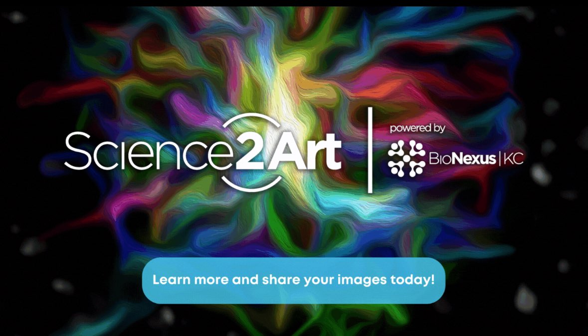 ⁉️ Have you submitted your research images to our #Science2Art program yet? Selected images will be displayed in a professionally curated exhibition and then auctioned, with all proceeds benefitting #STEAM initiatives in the region. bionexuskc.org/science-2-art-…