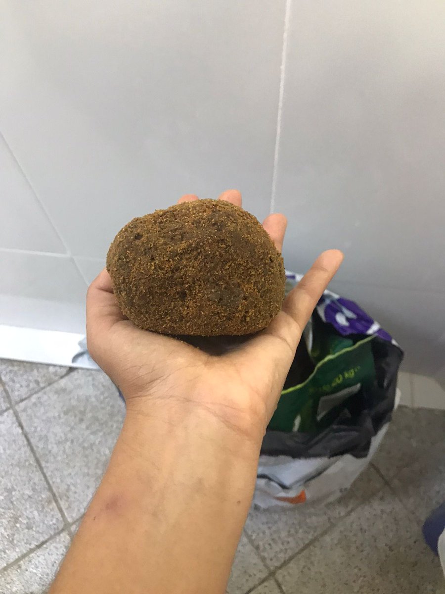 hermvi's tweet photo. @petlovebr fiz um pedido de um saco de ração da guabi no site de vcs e simplemente a ração tem mais farelo que grão. 
sem falar que achei varios graos enormes que claramente nao condiz com o tamanho, ja entrei em contato com a guabi e nao tive resposta. https://t.co/9eopdhvTSe