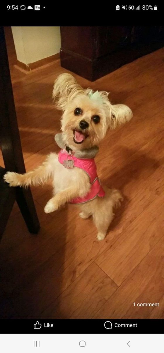 CneFig's tweet photo. @twaniimals https://t.co/5PaAo1nQFd