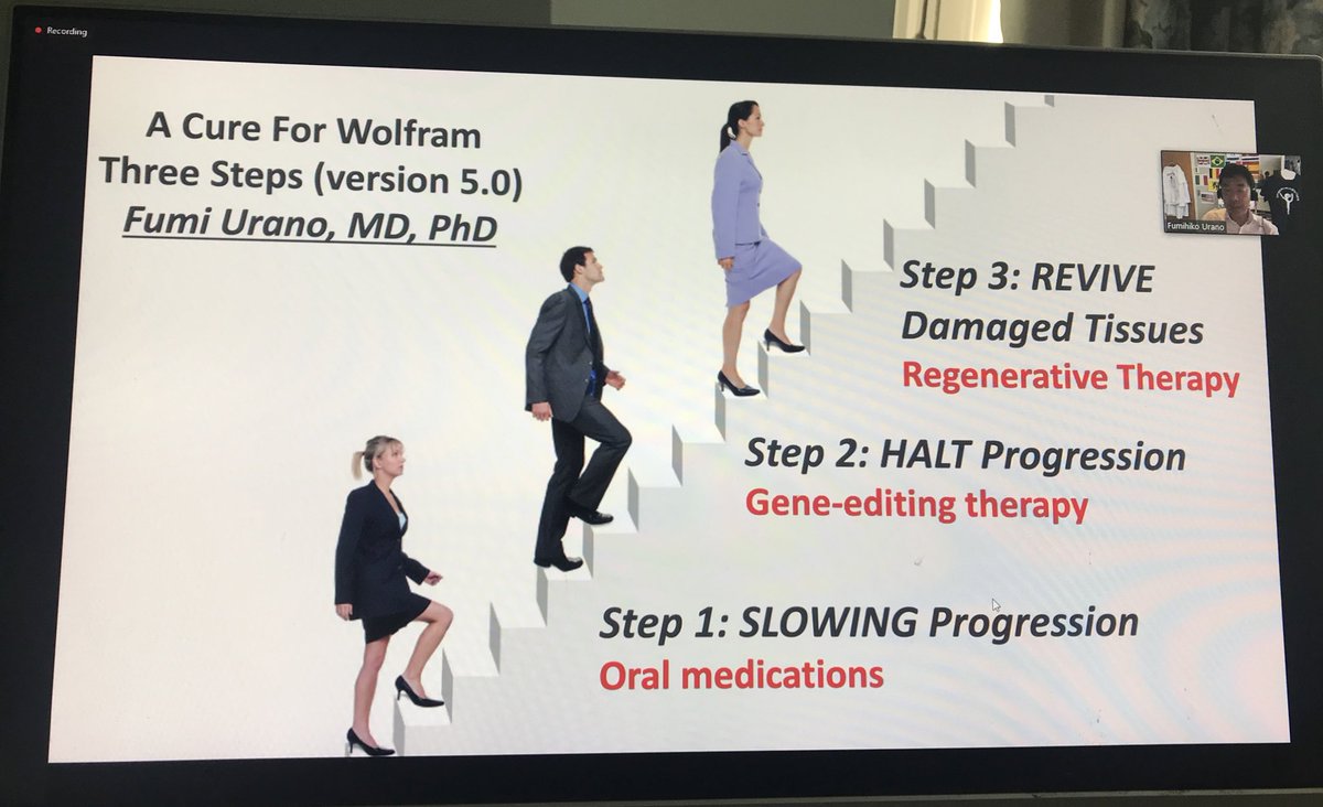 Josie Elliott (@j_n_elliott) on Twitter photo Fascinating talk by <a href="/FumihikoUrano/">Fumi Urano MD PhD-Wolfram Doc</a> on his team’s work towards curing the rare genetic condition, Wolfram Syndrome! #innovation #research🔬👏 Fascinating talk by <a href="/FumihikoUrano/">Fumi Urano MD PhD-Wolfram Doc</a> on his team’s work towards curing the rare genetic condition, Wolfram Syndrome! #innovation #research🔬👏