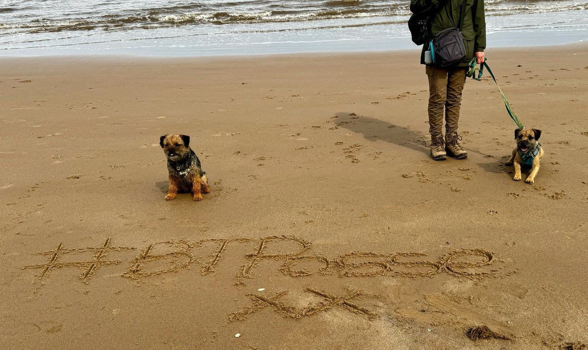 Pawsome day with Harris and his folks @HarristheBorder #btposse