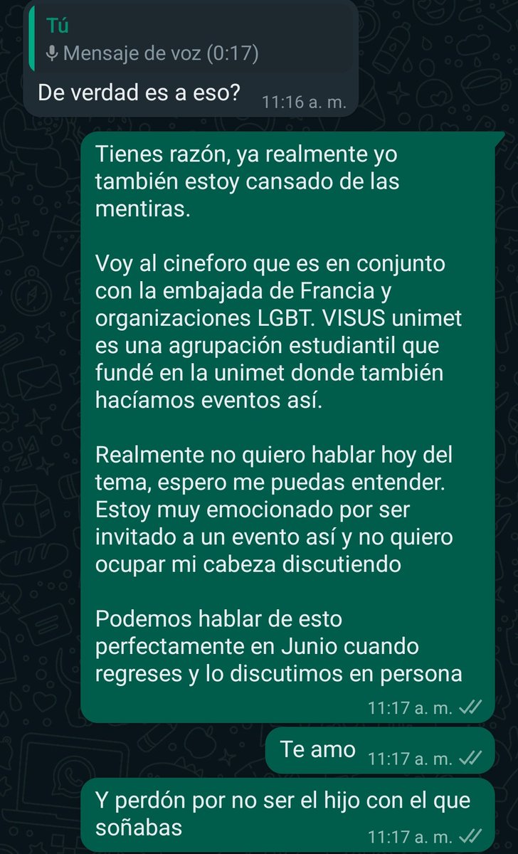 itsgabsu's tweet photo. Bueno le dije a mi mamá que soy activista LGBTQ y tiene 15 minutos que vio el mensaje y no me ha respondido, wish me luck https://t.co/LwtBczi1qo