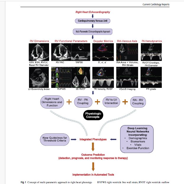 Serginho1409's tweet photo. The Echocardiographic Evaluation of the Right Heart: Current and Future Advances
https://t.co/u8JdcPAKc0 
#echofirst #CardioEd #MedEd https://t.co/APSO0pW4Mk