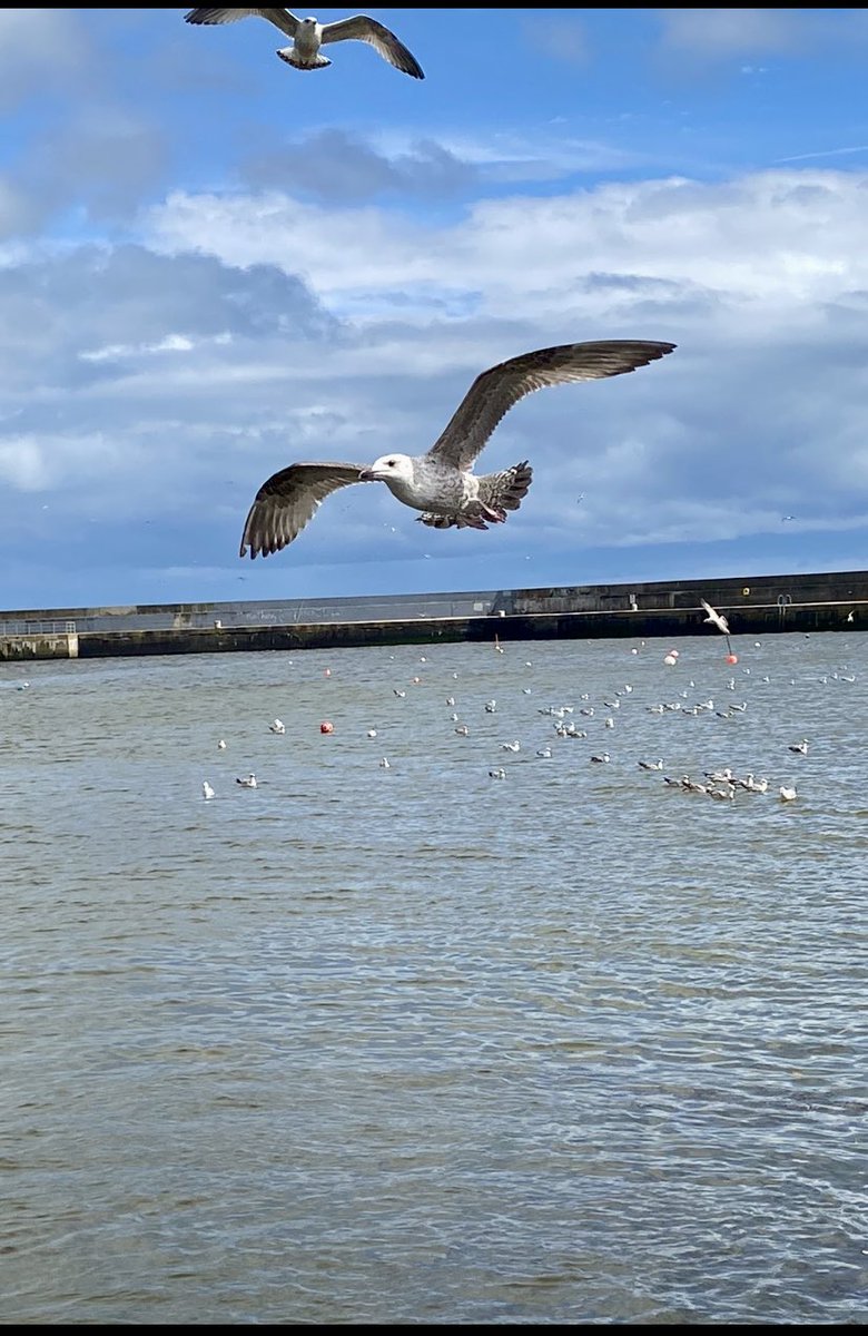 Saturday afternoon sunshine 
🌞 🌊 🚶🏻‍♀️ 
Walking but not posting as regularly. In awe of all of you who have maintained the pace! 💯✨

#200daysofwalking
#100daysofwalking