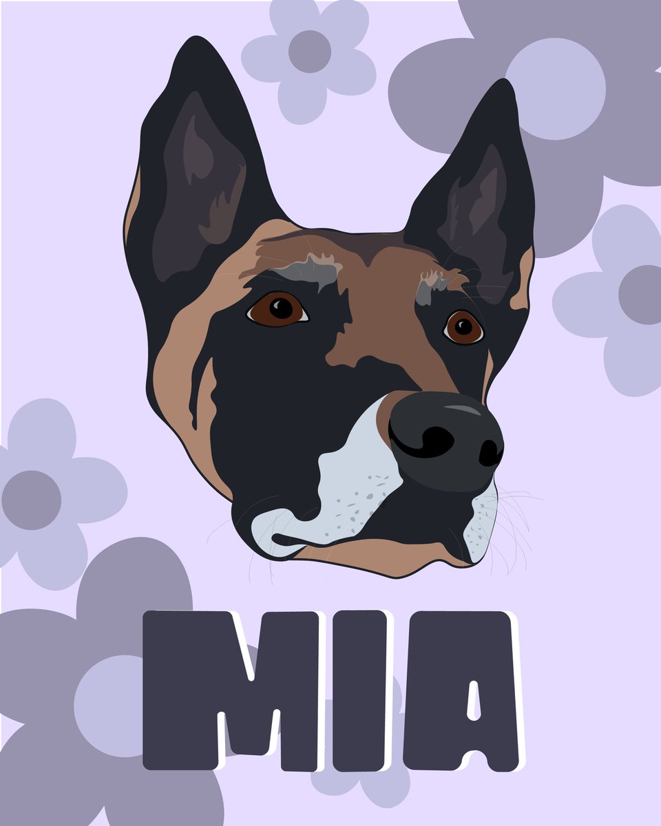 A new pawtrait of #MiaTheMalinois, supporting @muddypawsnyc and made by Chelsea Schizzano.